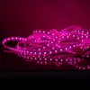 RGB Strip Pink